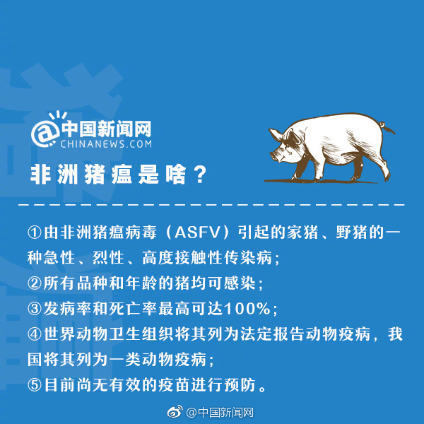 非洲猪瘟最新动态，疫情更新与小巷美食探秘