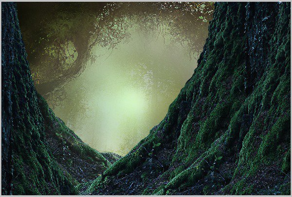 森林最新版探索,小巷中的隐秘瑰宝