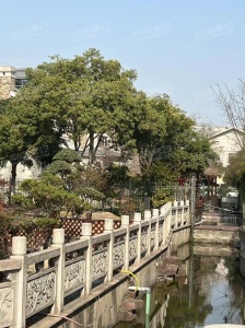 落户咨询 第407页