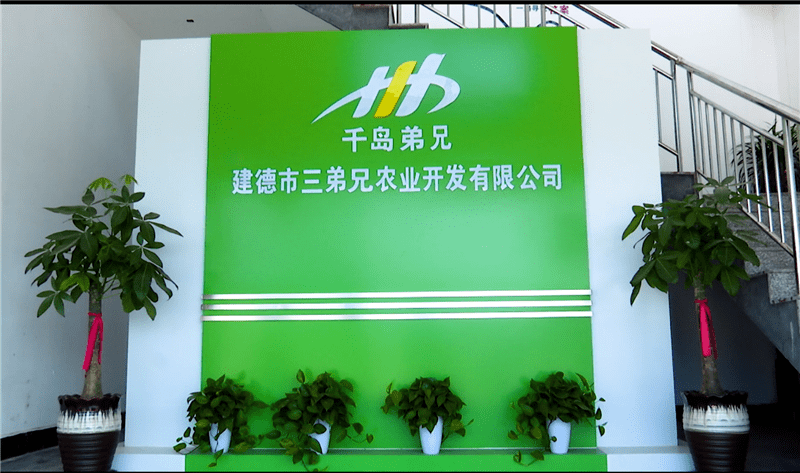 建德市招聘网