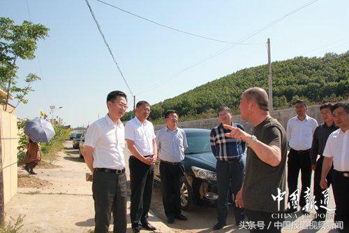 深度分析与观点影响综述