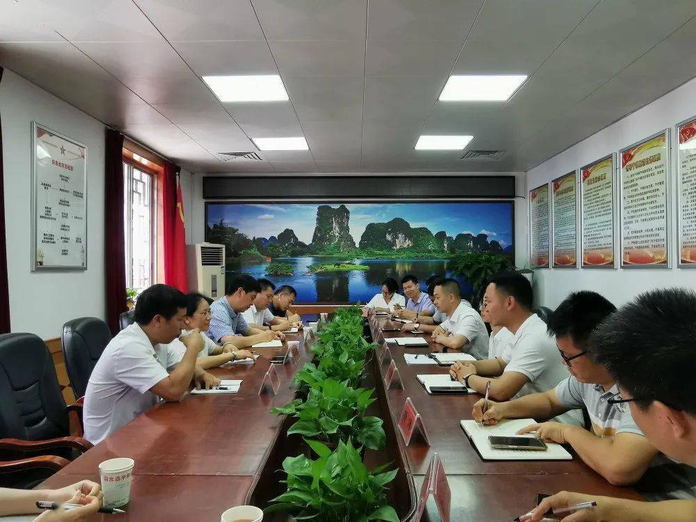 嘉陵区世阳镇最新消息全解析，获取指南与动态更新