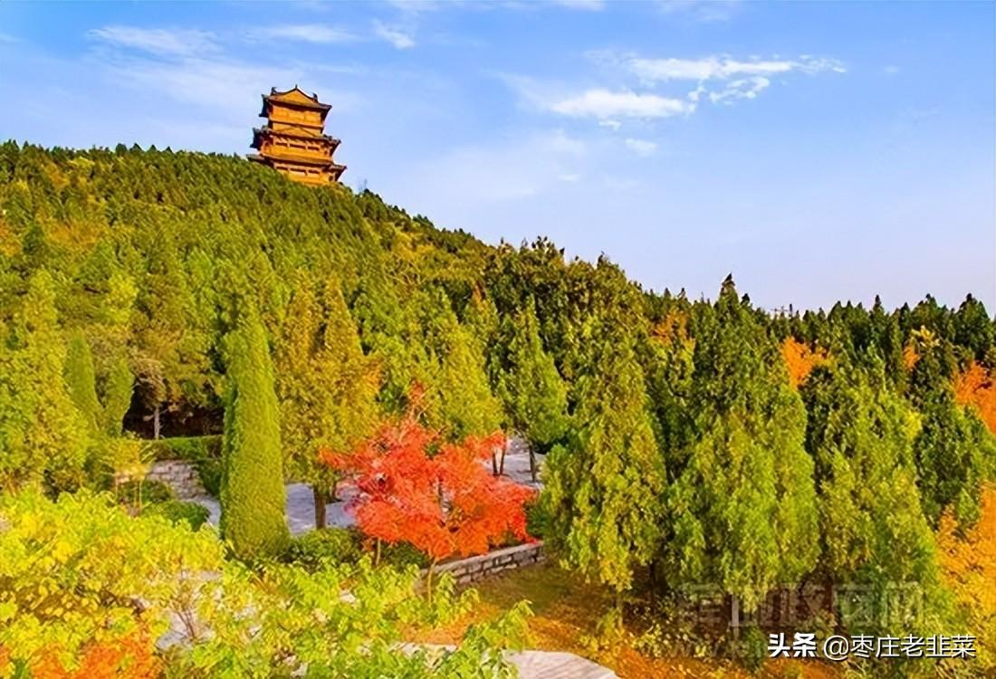 最新房源揭秘