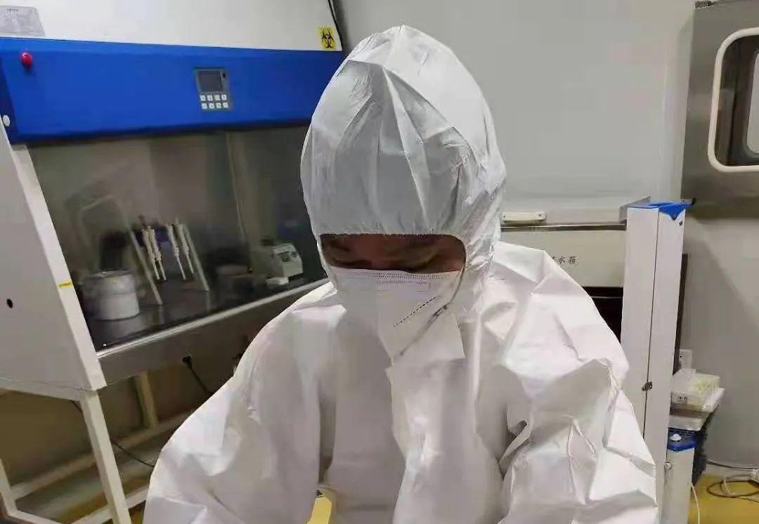鼓舞人心之旅，探索自然美景的旅程
