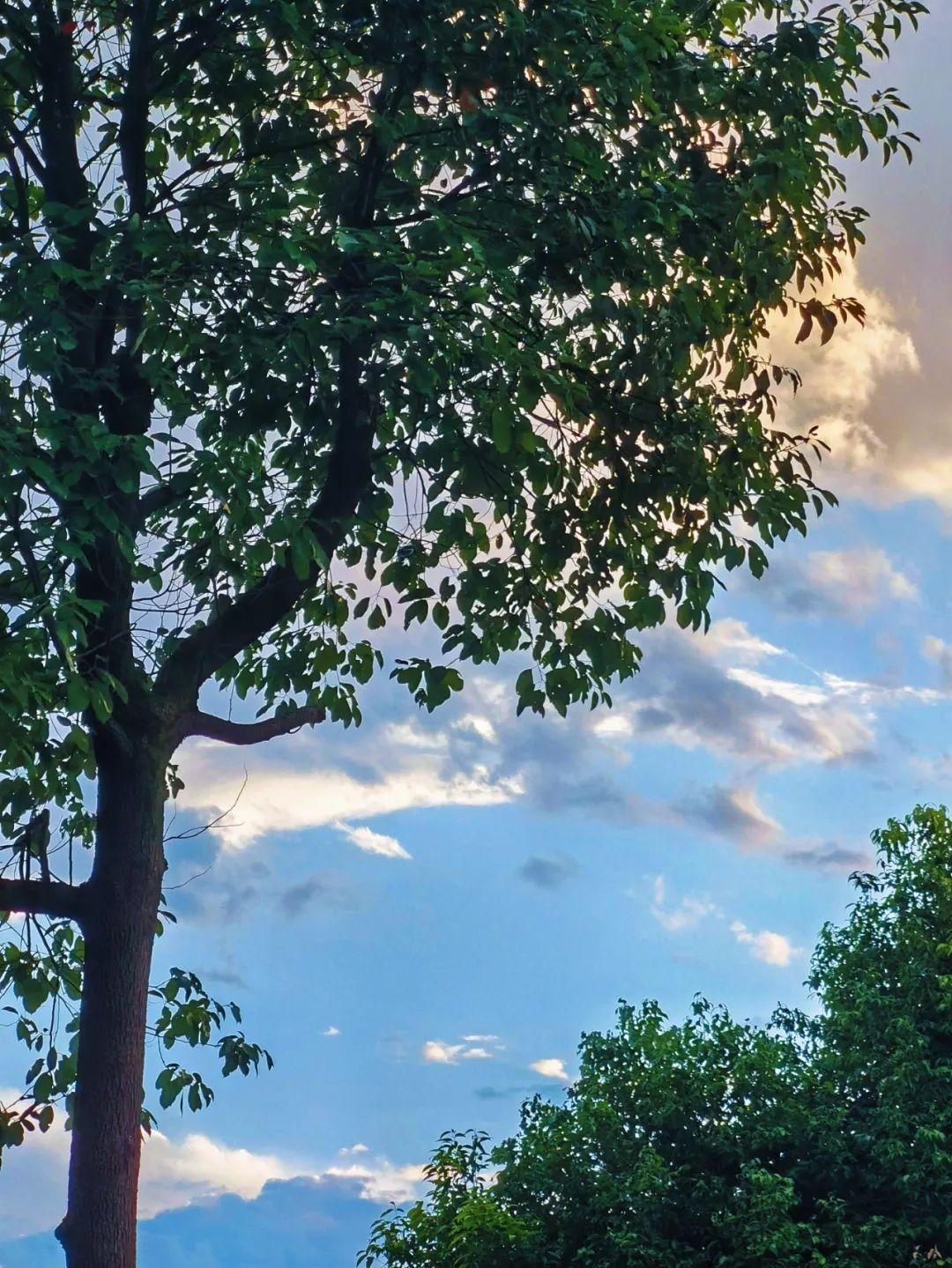 百度最新,遇见生活中的小美好瞬间