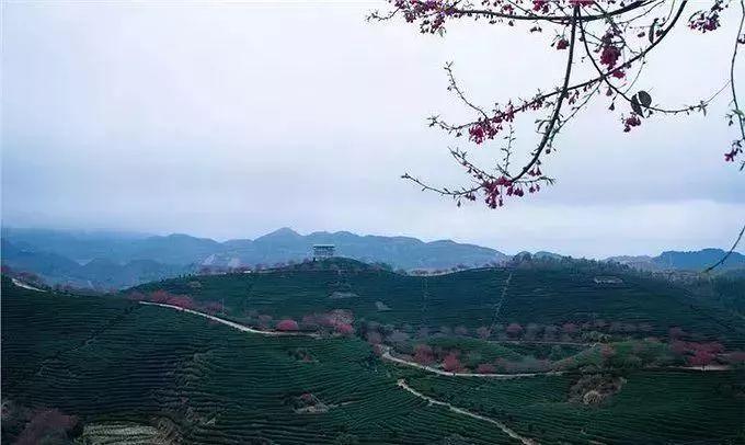 厦门科技新星璀璨闪耀，未来触手可及最新消息