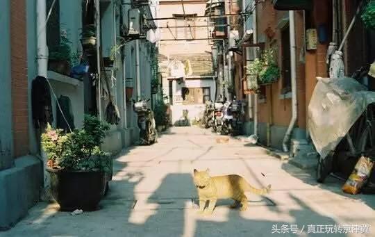菲美食探秘