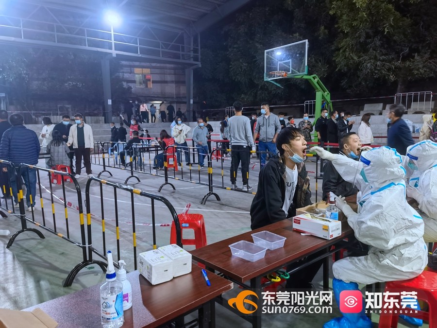 观察报告/动态与分析