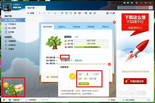 最新迅雷下载，速度与体验的双重升级大揭秘