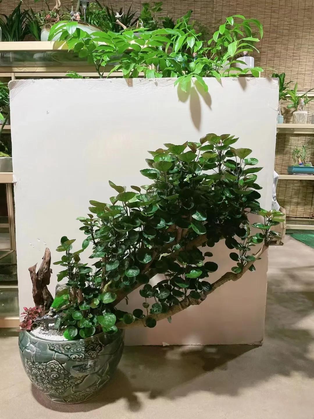 生活体验的独特魅力