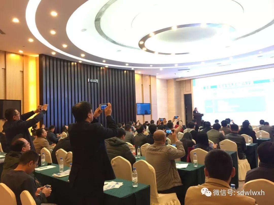 文化现象解读与探讨