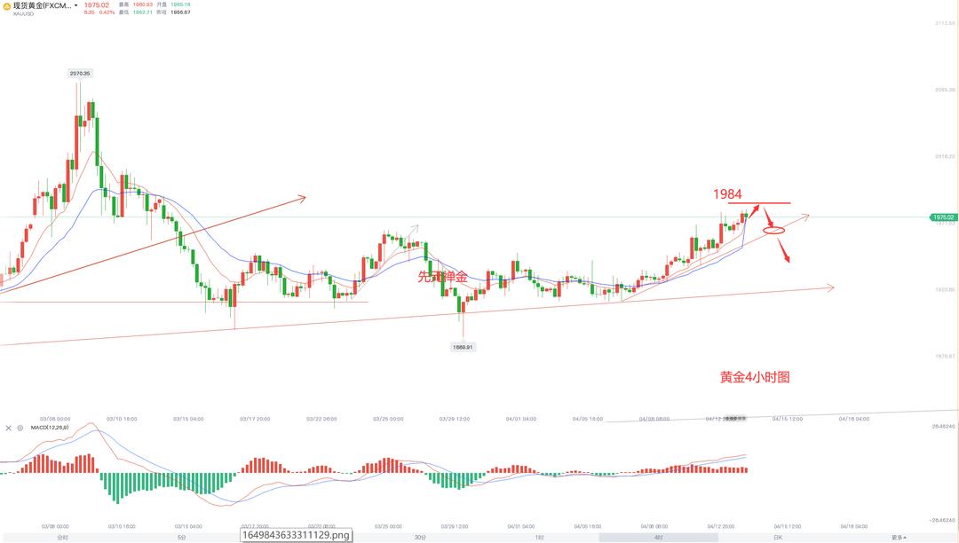全球黄金市场走势分析,最新金价行情概览