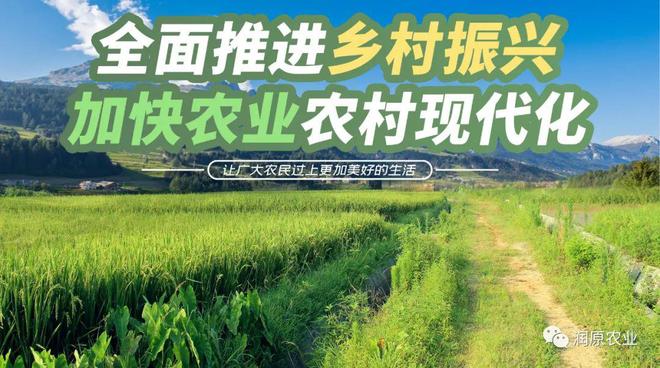 农业资讯报道