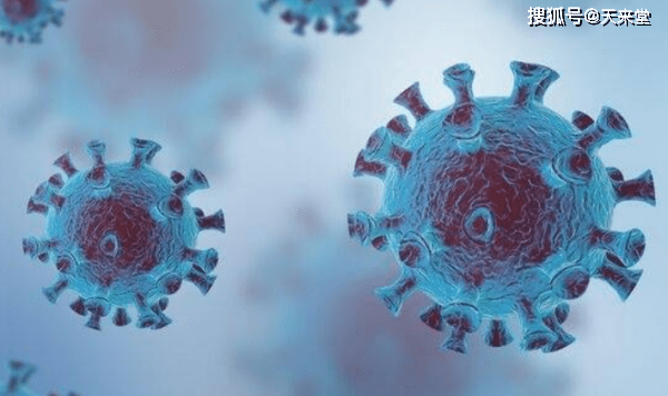 肺炎最新动态与探索自然美景之旅,寻求内心的宁静与平和