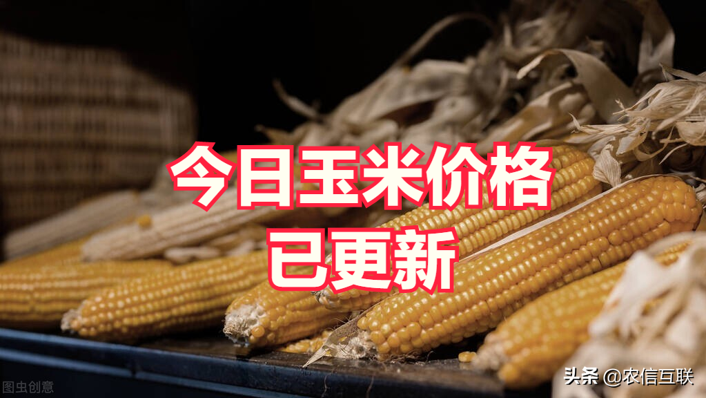 行情深度观察分析