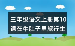 最新拼音,与自然美景的邂逅之旅
