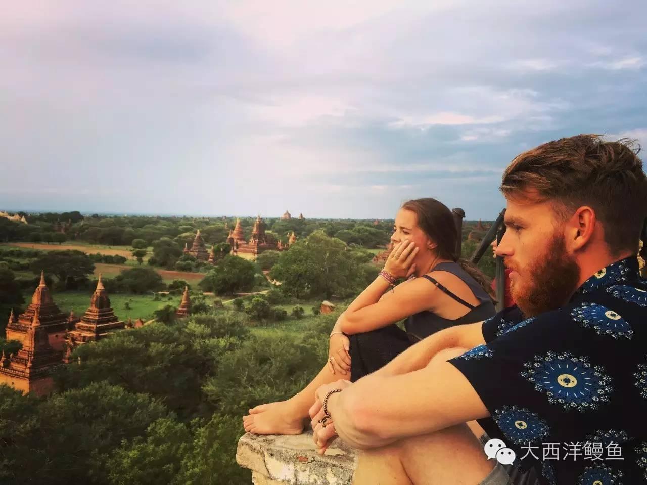 上海禾辉信息 第391页
