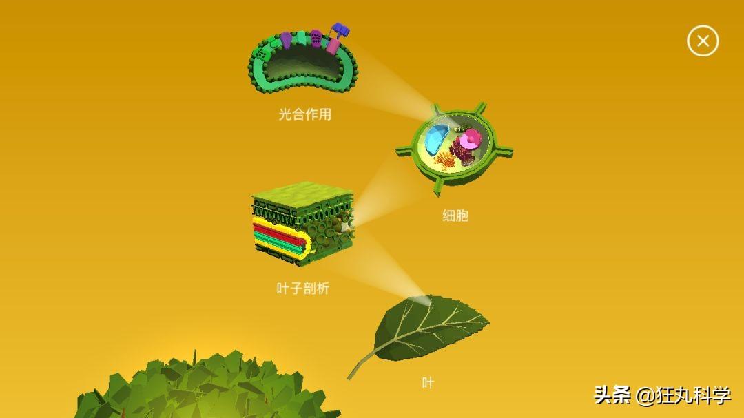 苹果最新资讯