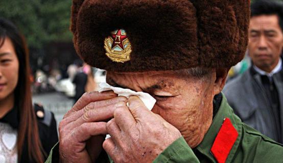 动车最新动态,宁静之旅,驶向自然美景的列车启程