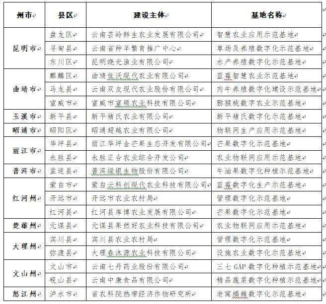 My云播最新，数字时代的影音革新之旅