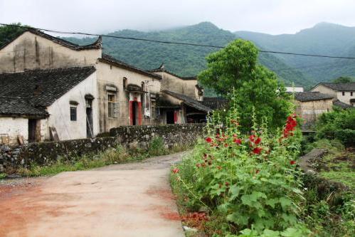 陇县最新楼盘探秘，隐藏宝藏与独特小店之旅