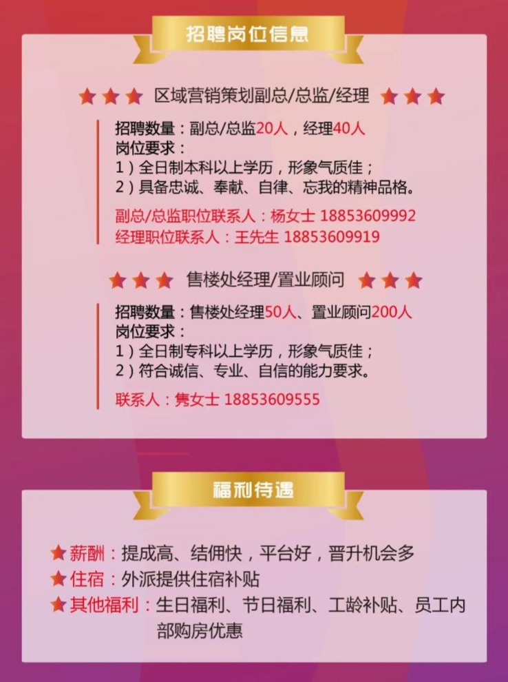 鲁甸最新招聘大揭秘,职场新机遇,等你来挑战!