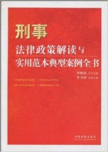 最新刑事法律，理解与应用指南