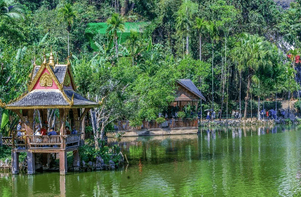 咪爪最新版,拥抱自然,探索内心桃花源