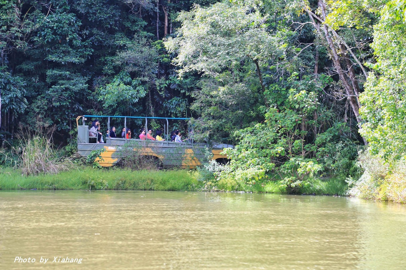 咪爪最新版,拥抱自然,探索内心桃花源