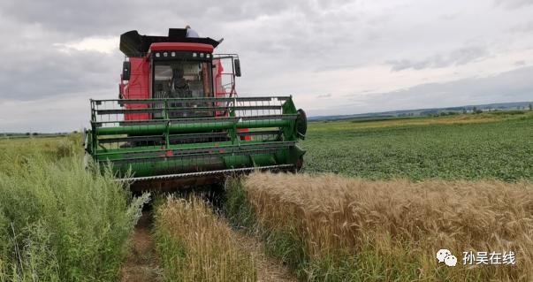 孙吴最新天气预报详解指南