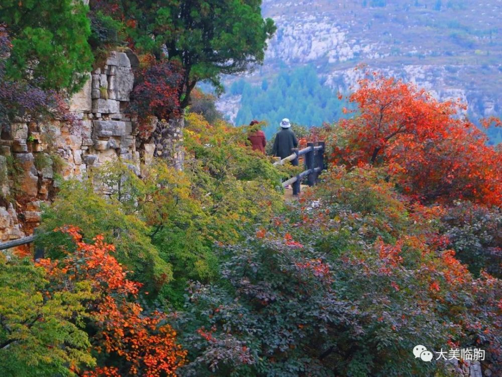 临朐夜班日常,温馨生活的夜晚篇章