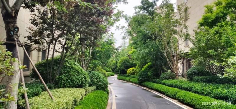 最新伤心歌曲,时代的情感印记