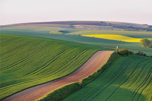 最新灌溉技术,水波轻扬下的绿意盎然之旅