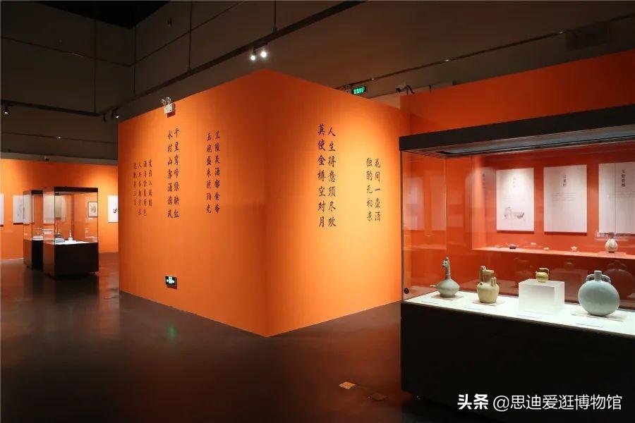 龙纹战神最新章节揭秘,神秘纹章与日常温馨故事交汇点