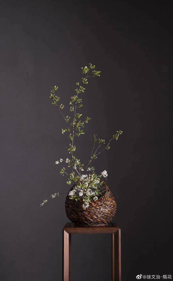 甘谷县最新结婚视频,传统与现代的交融庆典之美