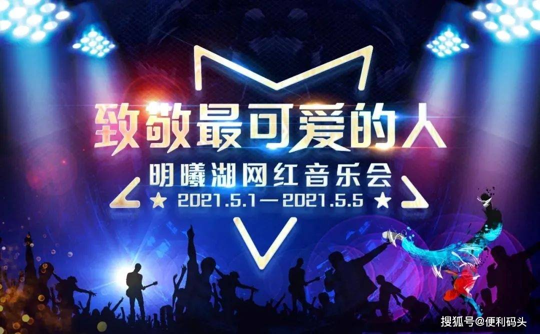 最新网红音乐的崛起与影响，一种深度分析观点