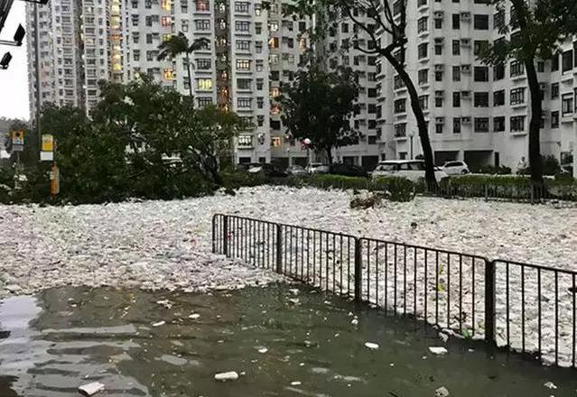 大自然独特魅力