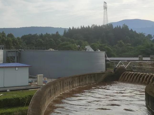 嵩明最新新闻综述,观点阐述与深度发展分析