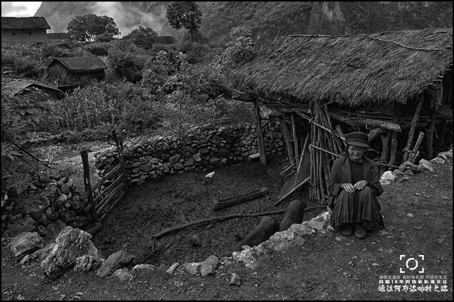 嵩明最新新闻综述,观点阐述与深度发展分析