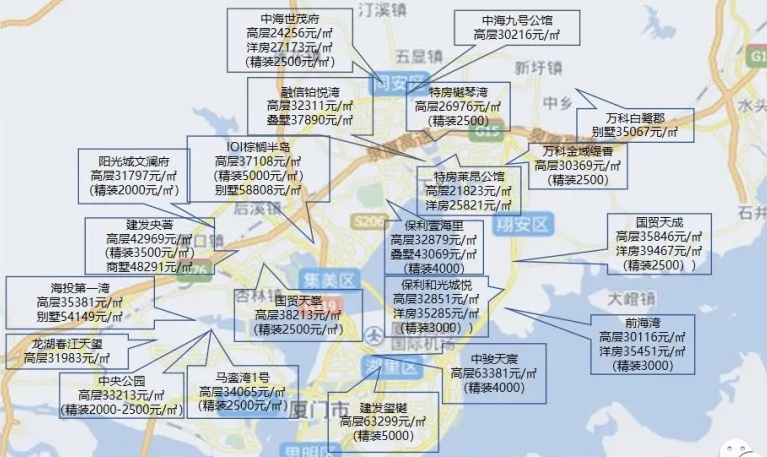 最新动态深度解析