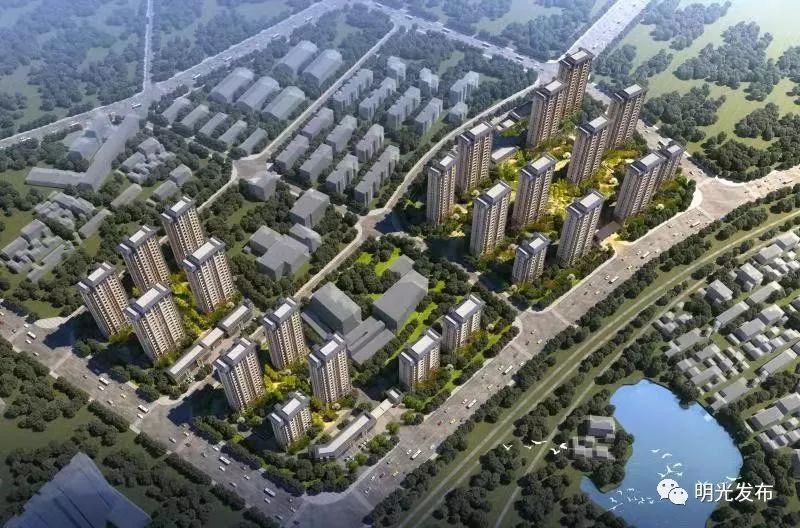 明光最新楼盘市场现状解析与个人观点分享