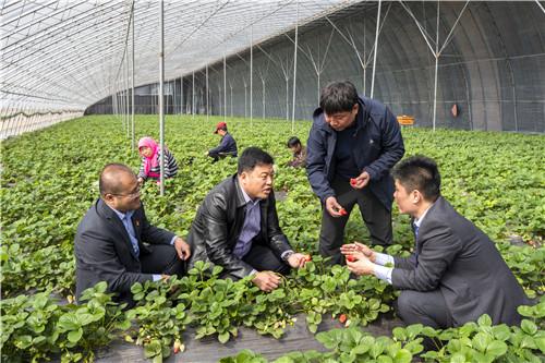 科技赋能生活，唐山最新天气实时查询触手可及