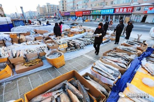 同江鱼市最新动态与行情分析
