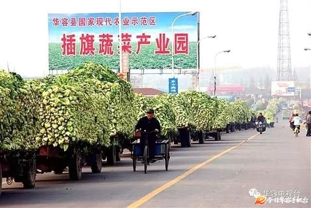 华容城市角落的温馨日常最新报道