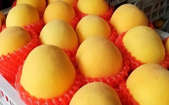 桃子宝盒最新探索,科技与时尚生活的完美融合