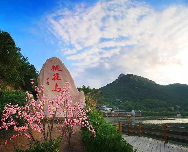 沈蔓歌的自然探索之旅