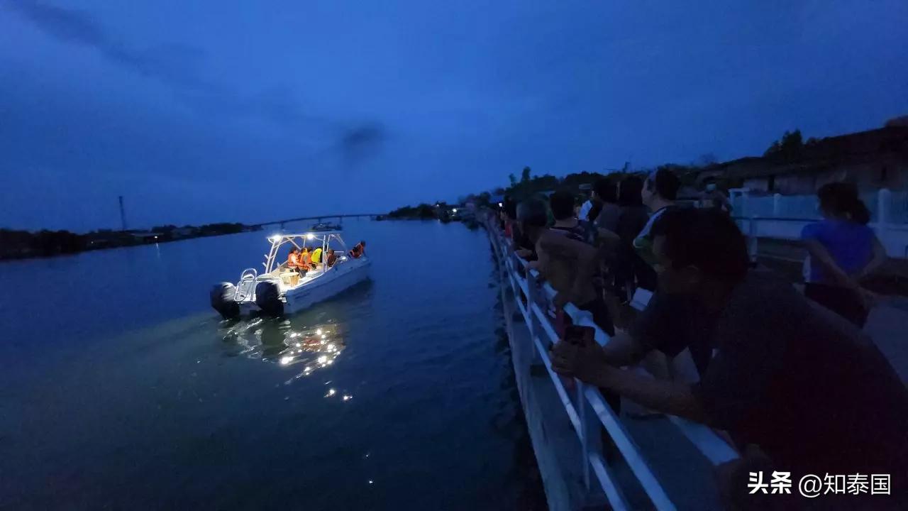 最新台风丕台，探索自然美景的轻松旅行之旅