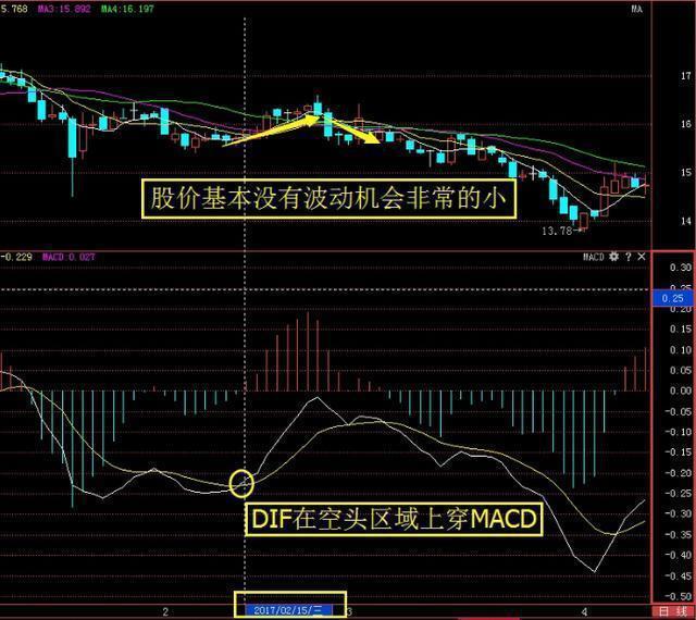 最新上市股票信息,变化中的机遇与学习的自信与成就感