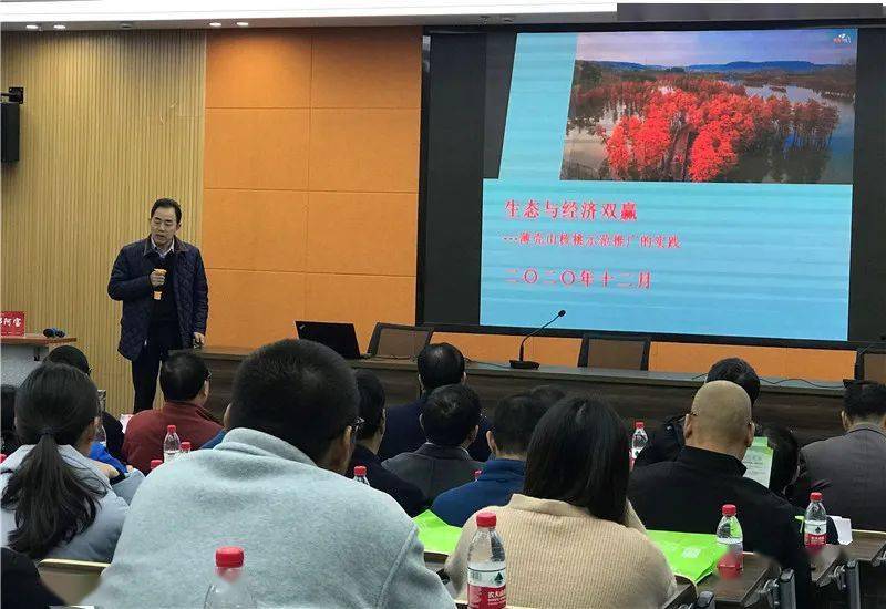 煤矿最新动态与行业前沿探索,洞悉发展动态揭秘