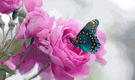 极致画质体验